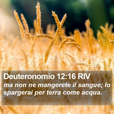 Deuteronomio 12:16 RIV Bible Verse Image
