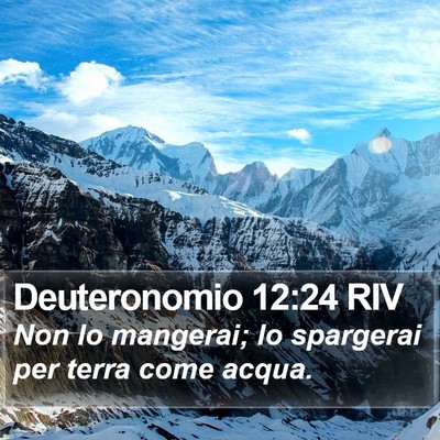 Deuteronomio 12:24 RIV Bible Verse Image