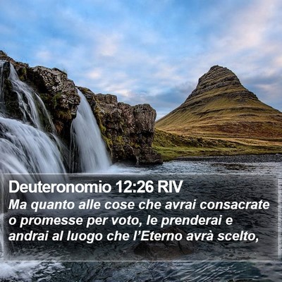 Deuteronomio 12:26 RIV Bible Verse Image
