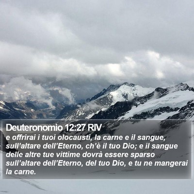Deuteronomio 12:27 RIV Bible Verse Image
