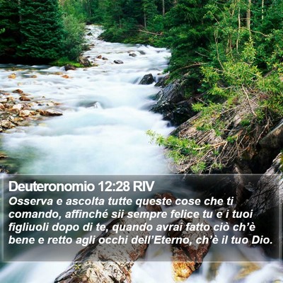 Deuteronomio 12:28 RIV Bible Verse Image
