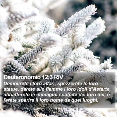 Deuteronomio 12:3 RIV Bible Verse Image