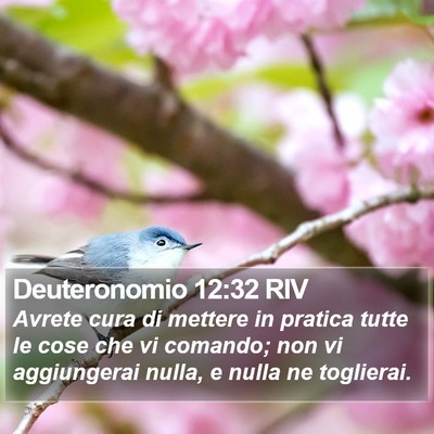 Deuteronomio 12:32 RIV Bible Verse Image