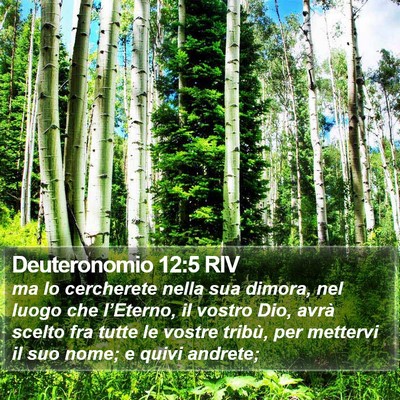 Deuteronomio 12:5 RIV Bible Verse Image