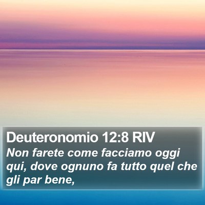 Deuteronomio 12:8 RIV Bible Verse Image