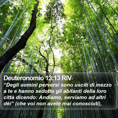 Deuteronomio 13:13 RIV Bible Verse Image