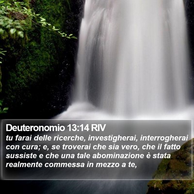 Deuteronomio 13:14 RIV Bible Verse Image