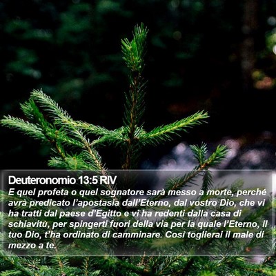 Deuteronomio 13:5 RIV Bible Verse Image