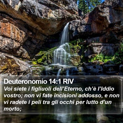 Deuteronomio 14:1 RIV Bible Verse Image
