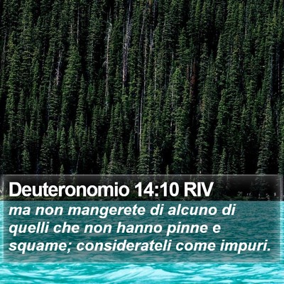 Deuteronomio 14:10 RIV Bible Verse Image