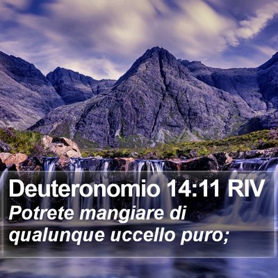 Deuteronomio 14:11 RIV Bible Verse Image
