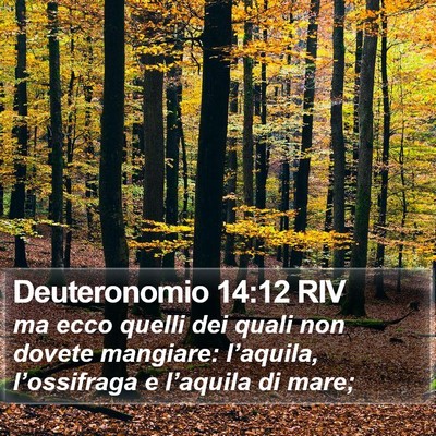 Deuteronomio 14:12 RIV Bible Verse Image