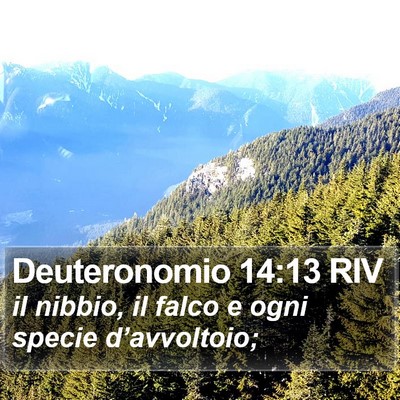 Deuteronomio 14:13 RIV Bible Verse Image