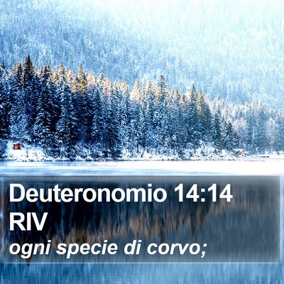 Deuteronomio 14:14 RIV Bible Verse Image