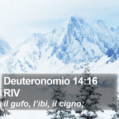 Deuteronomio 14:16 RIV Bible Verse Image