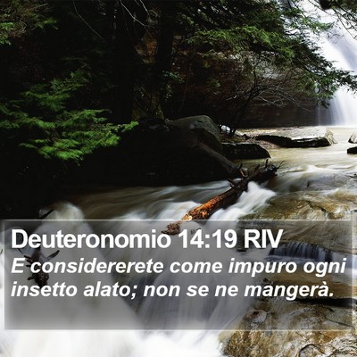 Deuteronomio 14:19 RIV Bible Verse Image