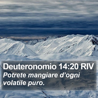 Deuteronomio 14:20 RIV Bible Verse Image