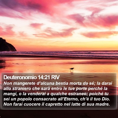 Deuteronomio 14:21 RIV Bible Verse Image