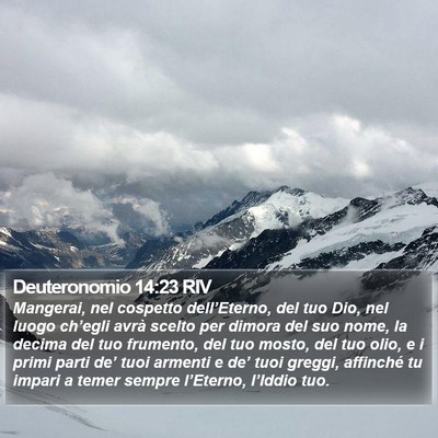 Deuteronomio 14:23 RIV Bible Verse Image