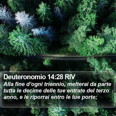 Deuteronomio 14:28 RIV Bible Verse Image