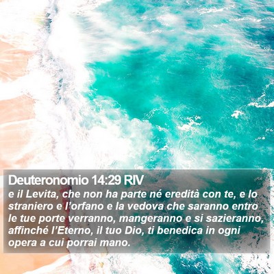 Deuteronomio 14:29 RIV Bible Verse Image