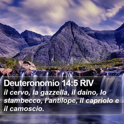 Deuteronomio 14:5 RIV Bible Verse Image