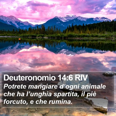 Deuteronomio 14:6 RIV Bible Verse Image