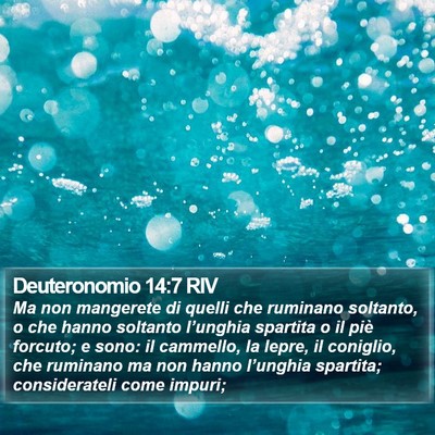 Deuteronomio 14:7 RIV Bible Verse Image