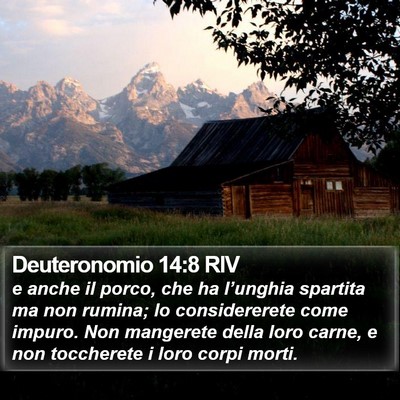 Deuteronomio 14:8 RIV Bible Verse Image