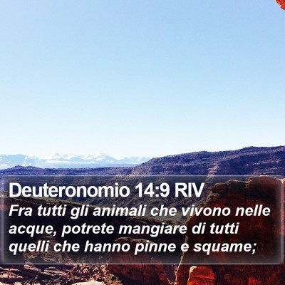 Deuteronomio 14:9 RIV Bible Verse Image