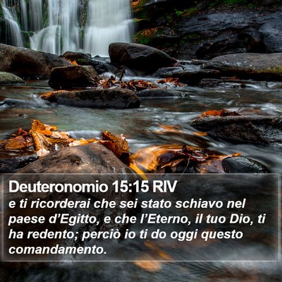 Deuteronomio 15:15 RIV Bible Verse Image