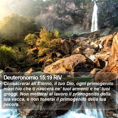 Deuteronomio 15:19 RIV Bible Verse Image