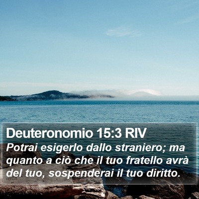 Deuteronomio 15:3 RIV Bible Verse Image