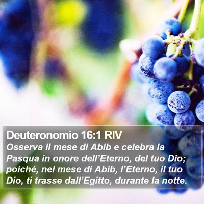 Deuteronomio 16:1 RIV Bible Verse Image