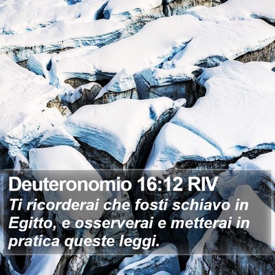 Deuteronomio 16:12 RIV Bible Verse Image