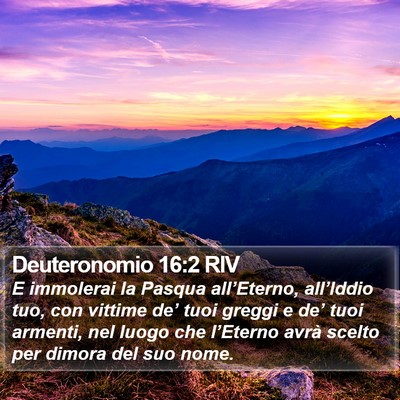 Deuteronomio 16:2 RIV Bible Verse Image