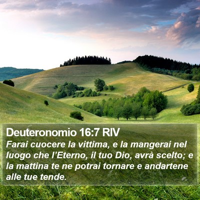 Deuteronomio 16:7 RIV Bible Verse Image