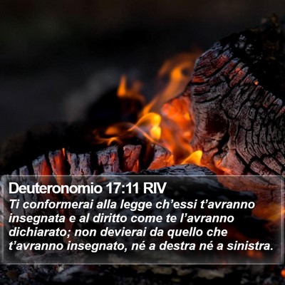 Deuteronomio 17:11 RIV Bible Verse Image