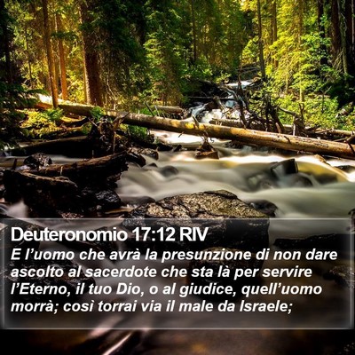 Deuteronomio 17:12 RIV Bible Verse Image