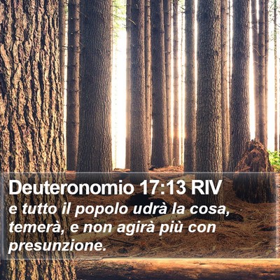 Deuteronomio 17:13 RIV Bible Verse Image