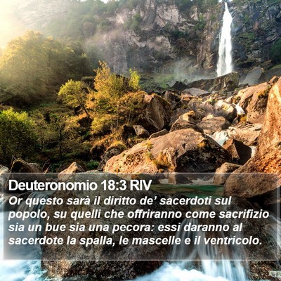 Deuteronomio 18:3 RIV Bible Verse Image