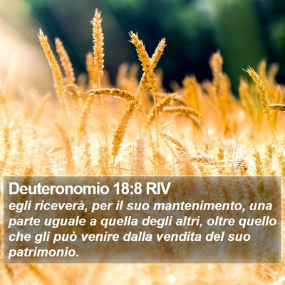 Deuteronomio 18:8 RIV Bible Verse Image