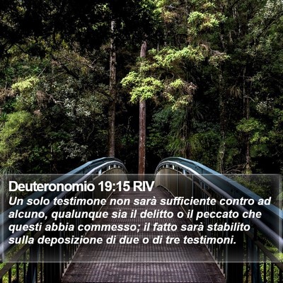 Deuteronomio 19:15 RIV Bible Verse Image