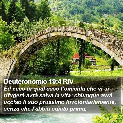 Deuteronomio 19:4 RIV Bible Verse Image