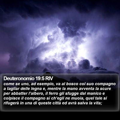 Deuteronomio 19:5 RIV Bible Verse Image