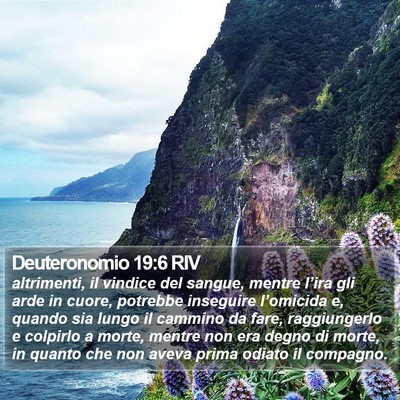 Deuteronomio 19:6 RIV Bible Verse Image