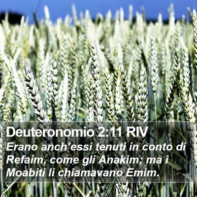 Deuteronomio 2:11 RIV Bible Verse Image