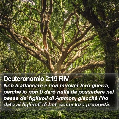 Deuteronomio 2:19 RIV Bible Verse Image