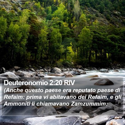 Deuteronomio 2:20 RIV Bible Verse Image
