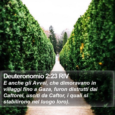 Deuteronomio 2:23 RIV Bible Verse Image